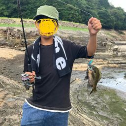 ブルーギル