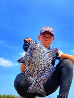 イシガキダイの釣果