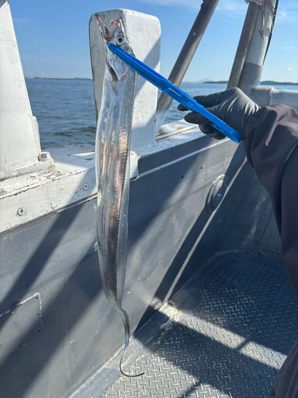 なっちん🎀さんの釣果 2枚目の画像