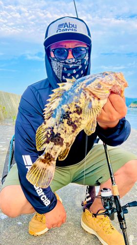 ベッコウゾイの釣果