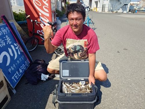 シロギスの釣果