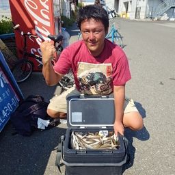 シロギス