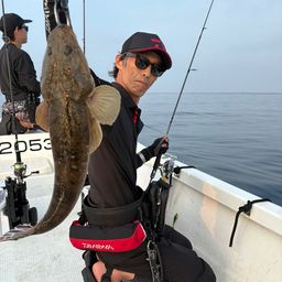 マゴチ
