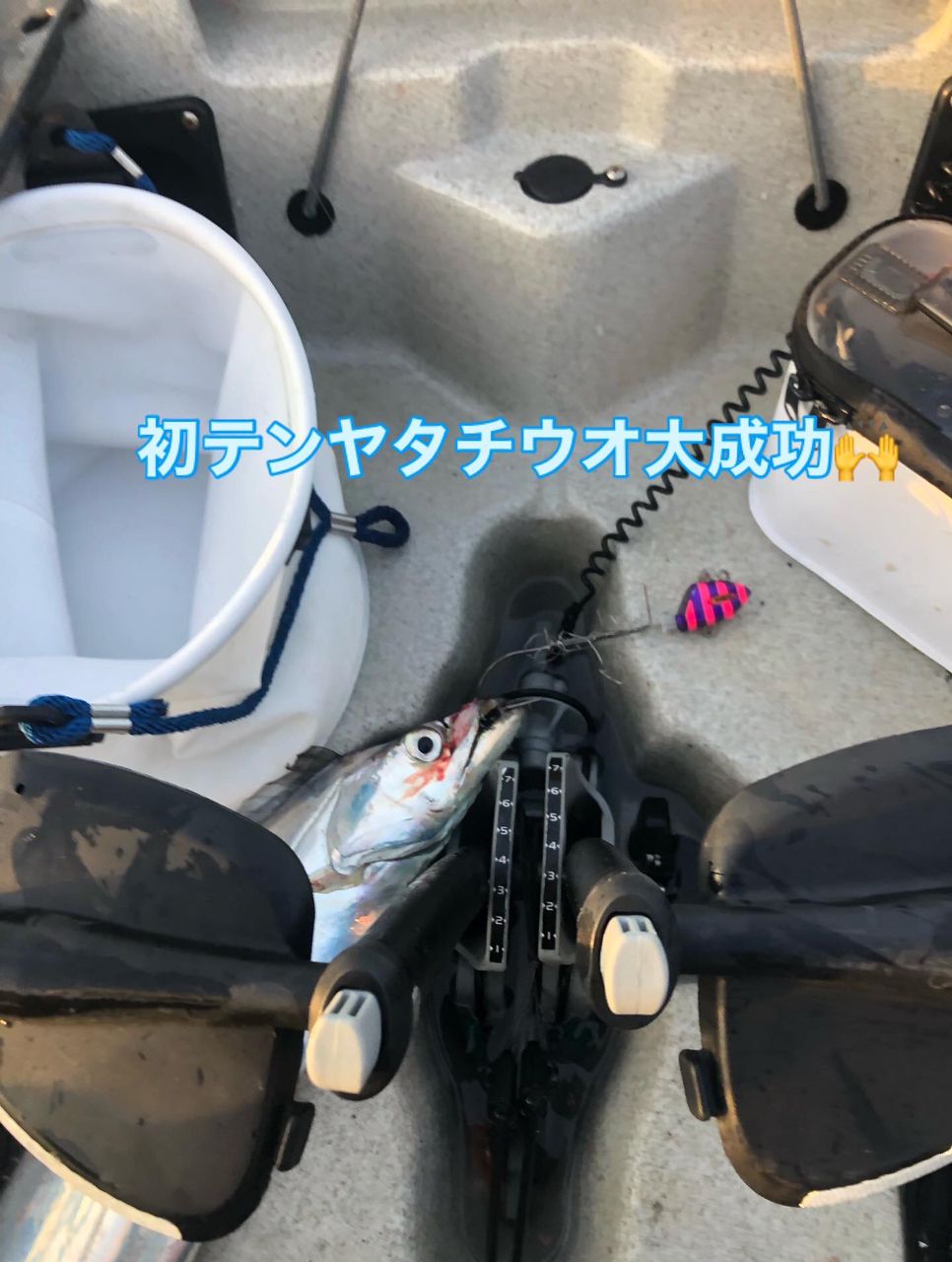 タチウオ