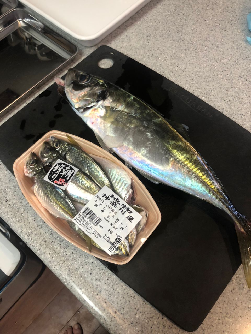 タチウオ