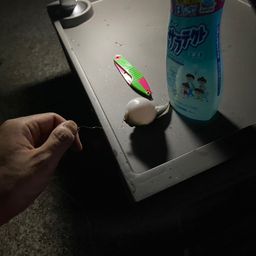 アジ