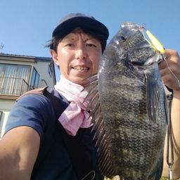 クロダイ