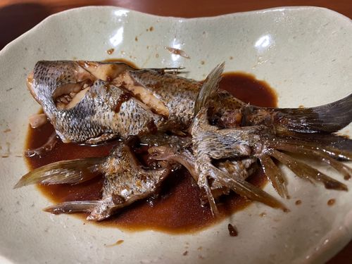 クロムツの釣果