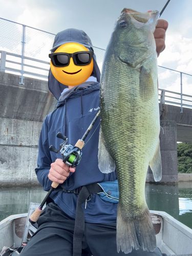 丸山ダム