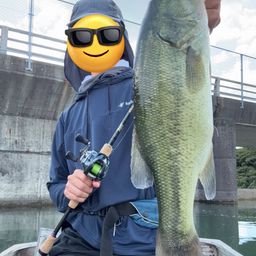 ブラックバス