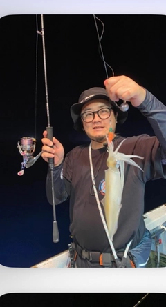 ケンサキイカの釣果
