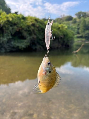 福富ダム