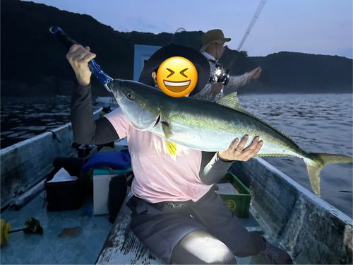 ブリの釣果