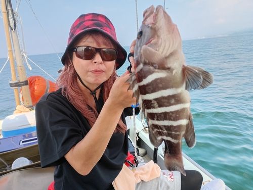 マハタの釣果