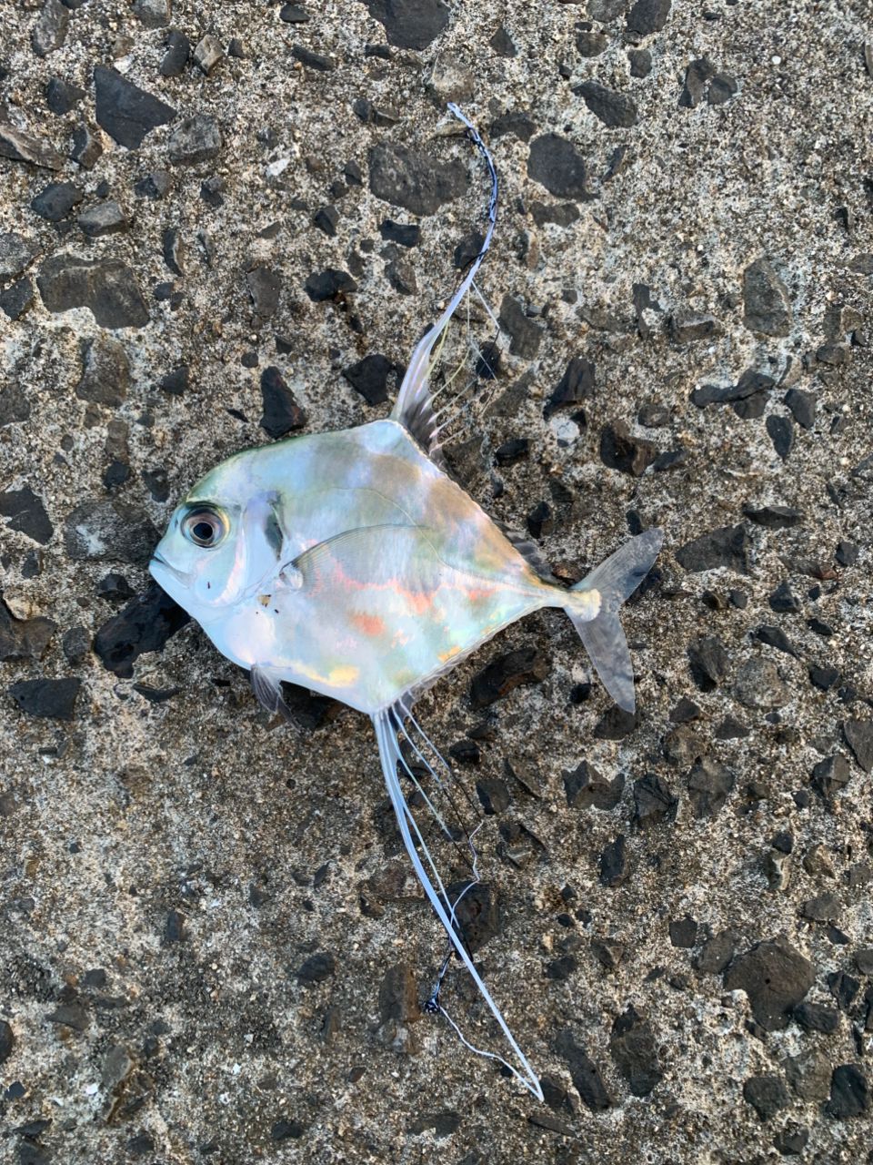 メッキ