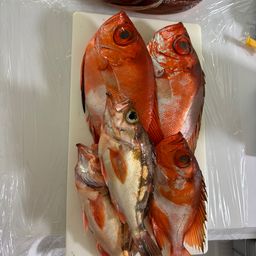 チカメキントキ