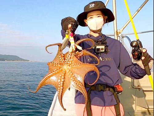 タコの釣果