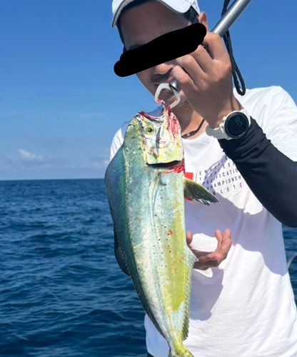 釣果