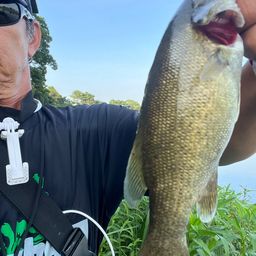 スモールマウスバス