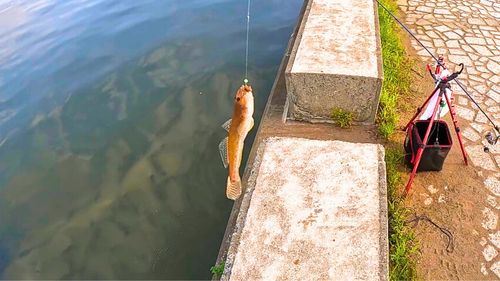 釣果