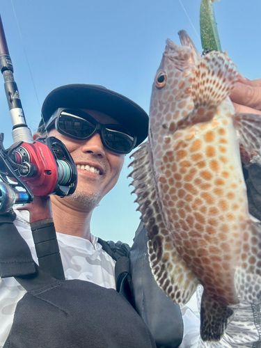 オオモンハタの釣果