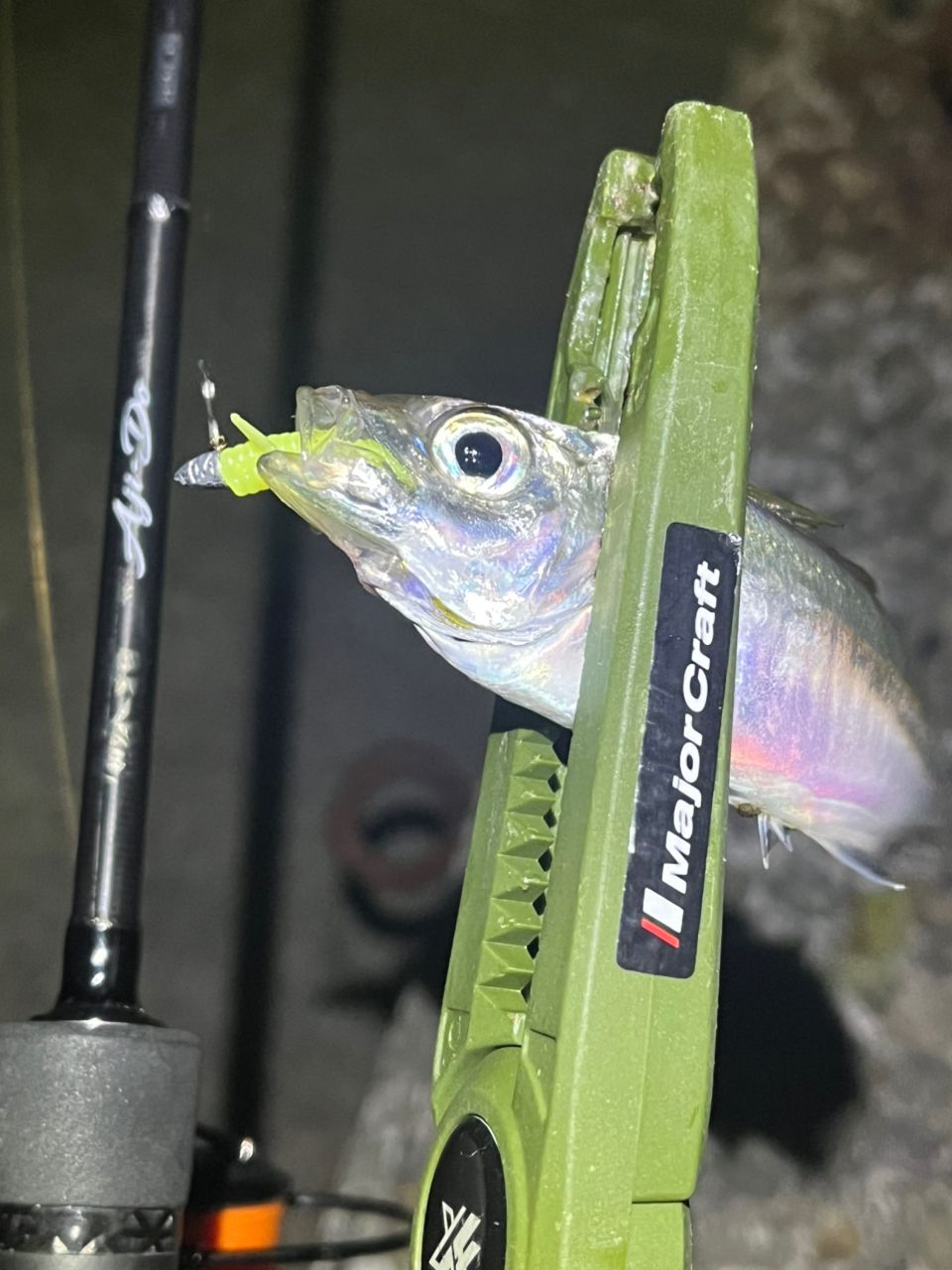 アジ