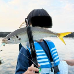 アジ