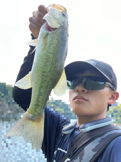ラージマウスバスの釣果