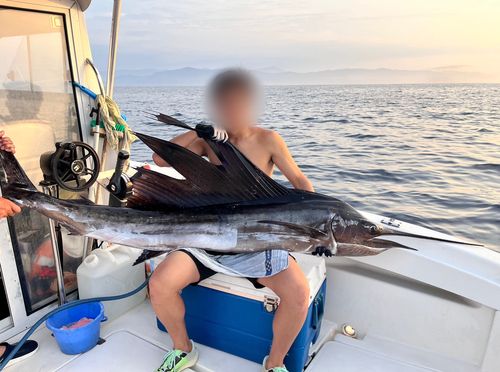 太平洋で釣れたカジキの釣り・釣果情報 - アングラーズ | 釣果