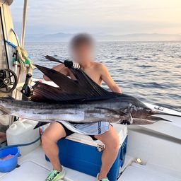 バショウカジキ
