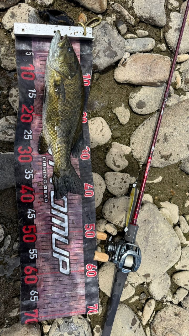 DAIWA 24スティーズ SV TW 100 100XHLの最安値・インプレ・釣果