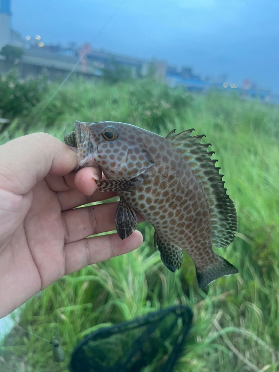 タイ
