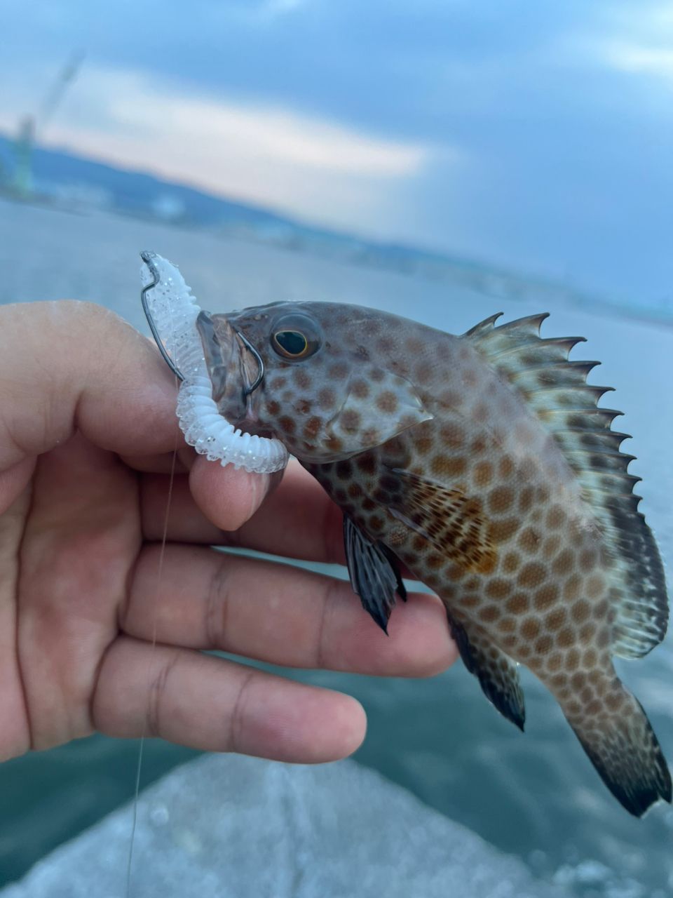 タイ
