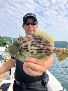カワハギの釣果