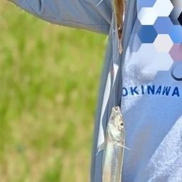 メッキ