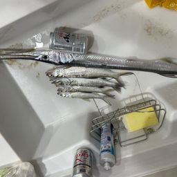 オキザヨリ