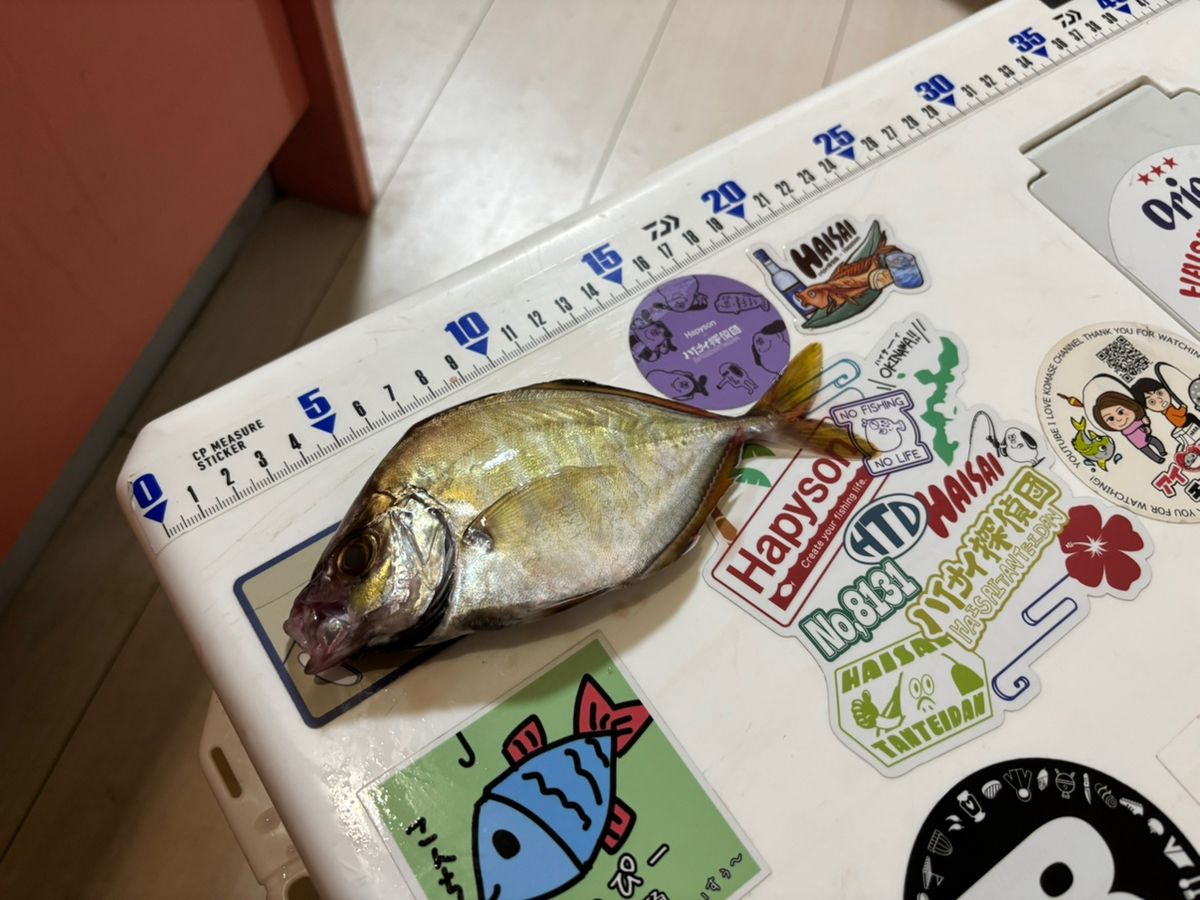 まなひなさんの釣果 1枚目の画像