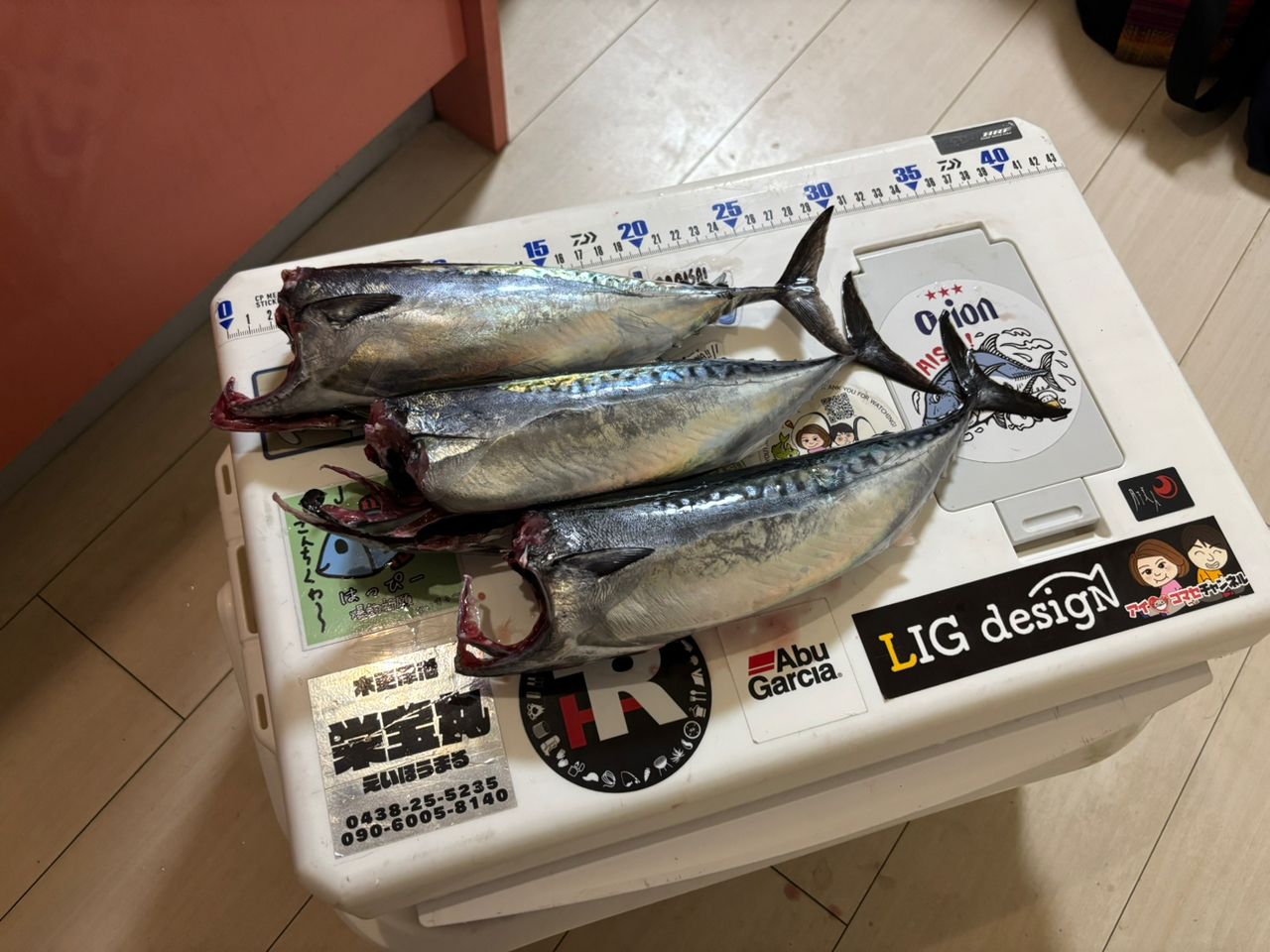 ソウダガツオ