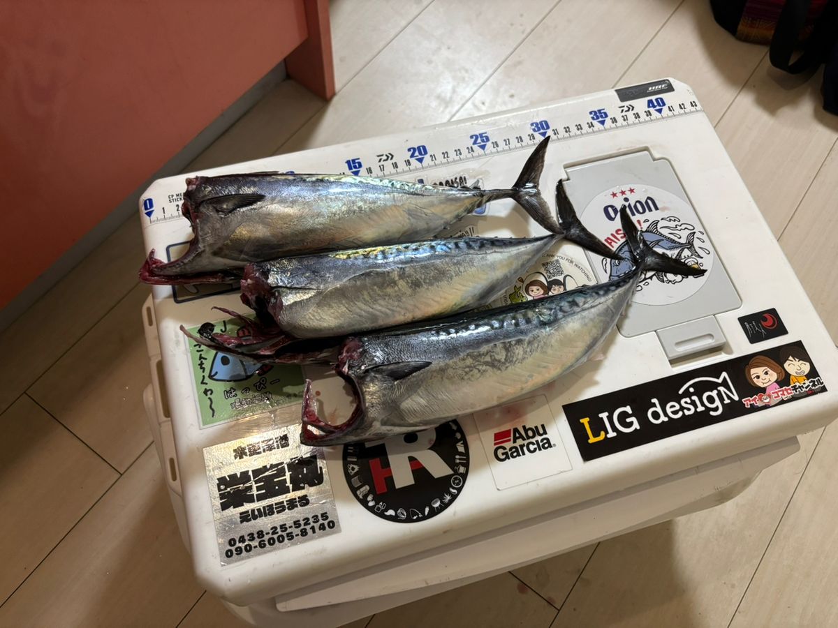 まなひなさんの釣果 2枚目の画像
