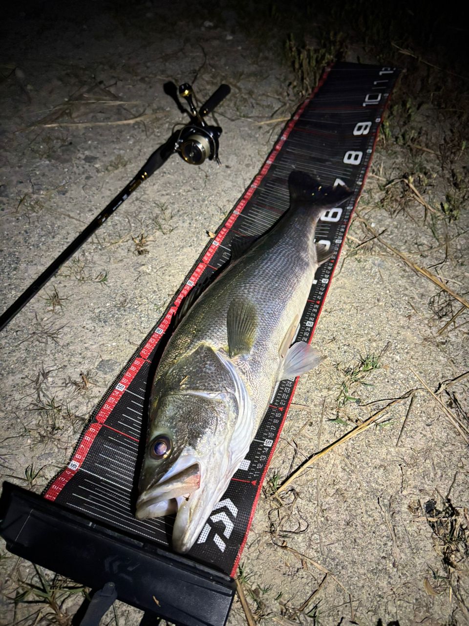 DAIWA 21モアザン ブランジーノ EX AGS 97ML/Mの最安値