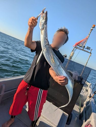 タチウオの釣果