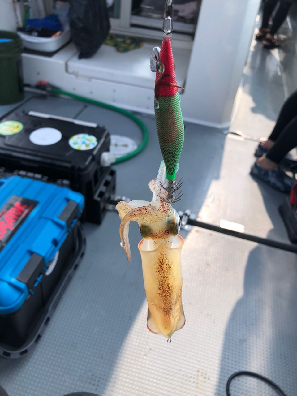 Golden Eagleさんの釣果 2枚目の画像