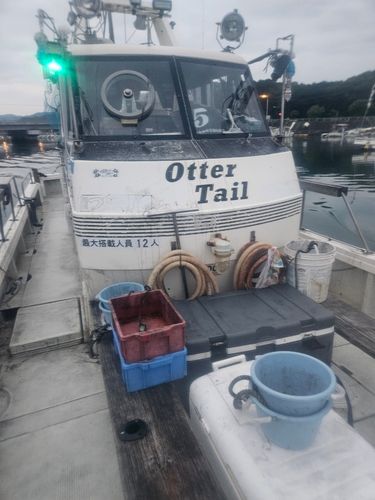 イトヨリダイの釣果
