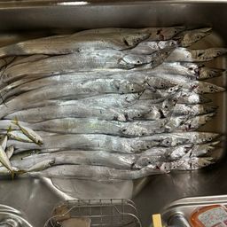 タチウオ