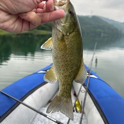 スモールマウスバス
