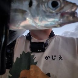 アジ