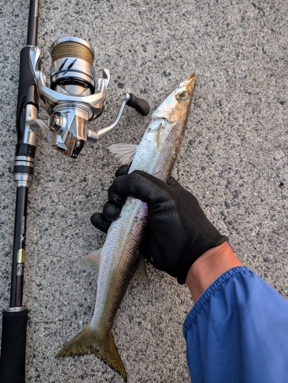 ハードロッカー BB S83ML＋ SHIMANO 19ハードロッカー BB S83ML+の最安値・インプレ・釣果