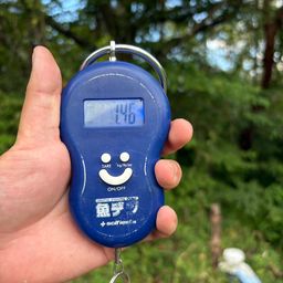 ブラックバス
