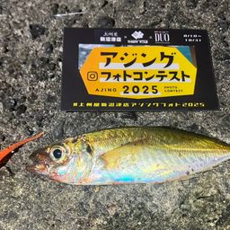 アジ