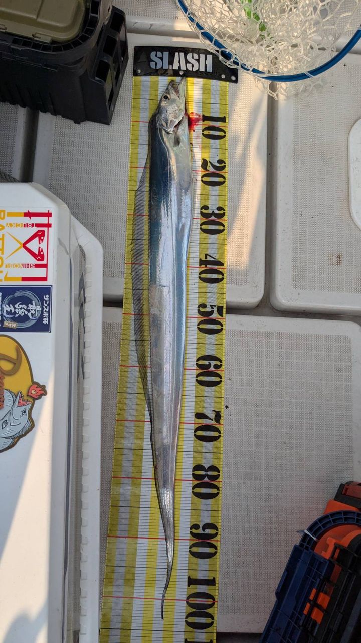 遊釣CH まっすん♪さんの釣果 2枚目の画像